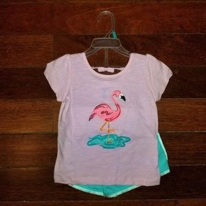 Toddler girls glitter flamingo fringe short set